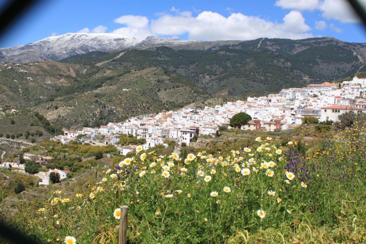 Casadubislav Apartment Canillas de Albaida ภายนอก รูปภาพ